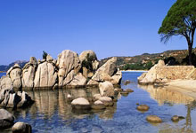 国足历届世预赛战绩如何？一路坎坷中有无高光时刻？